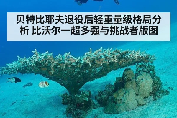 贝特比耶夫退役后轻重量级格局分析 比沃尔一超多强与挑战者版图
