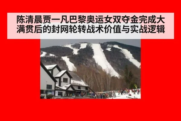 陈清晨贾一凡巴黎奥运女双夺金完成大满贯后的封网轮转战术价值与实战逻辑